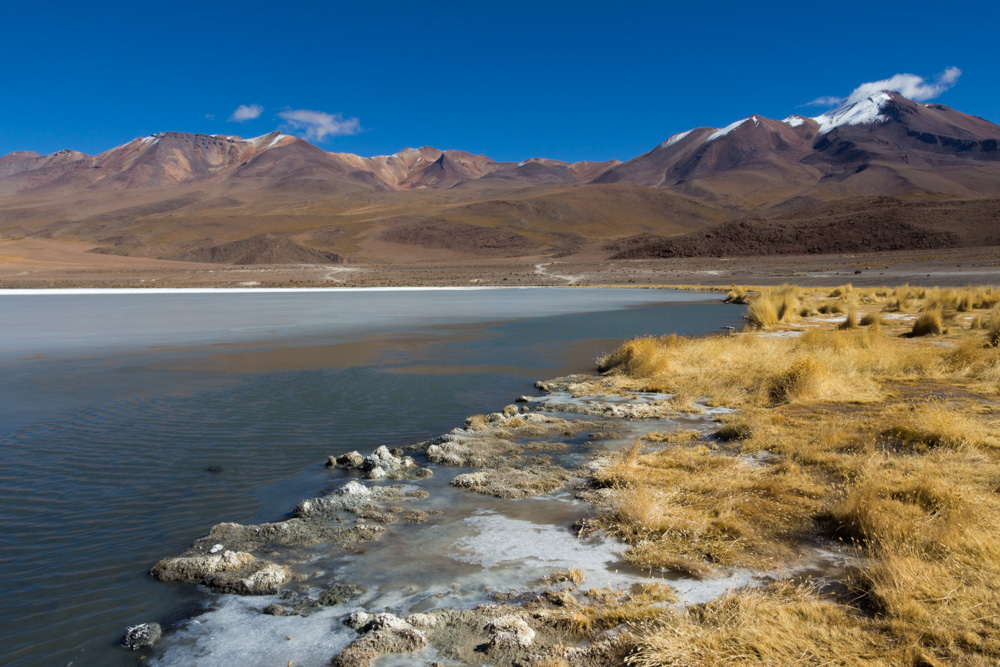 La Laguna Canapa, dans la région du Sud-Lipez, Bolivie