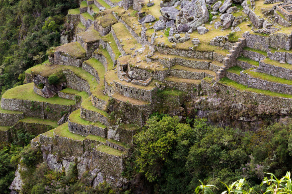 Machu Picchu - Détail des terrasses