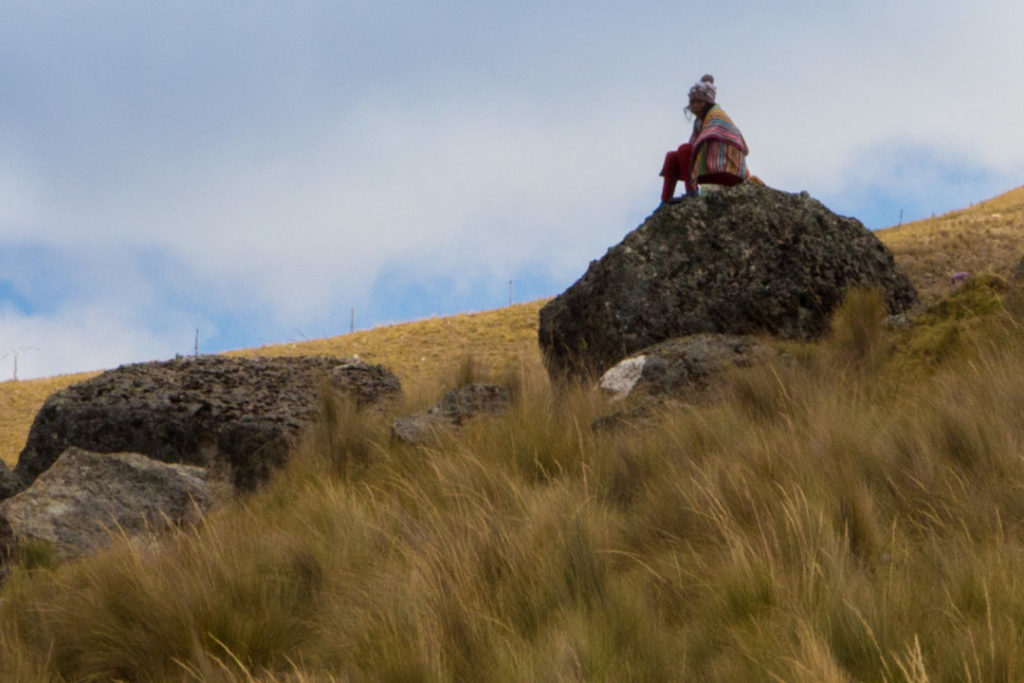 Cordillera Huayhuash - Enfant berger