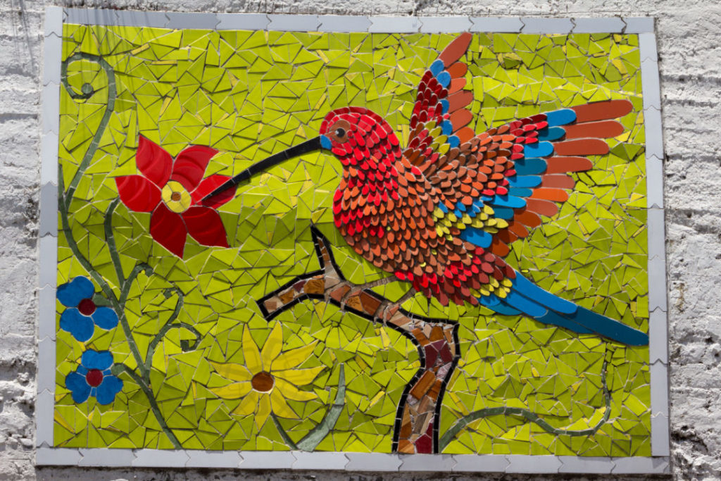 Entre Riobamba et Baños - Mosaique colibri
