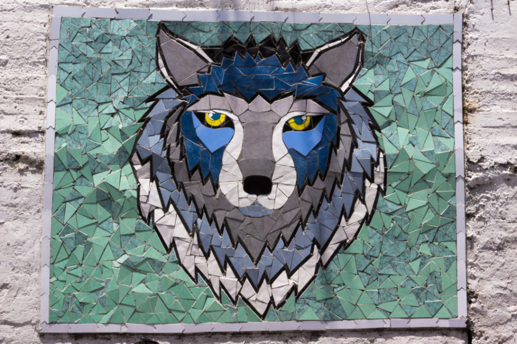 Entre Riobamba et Baños - Mosaique loup
