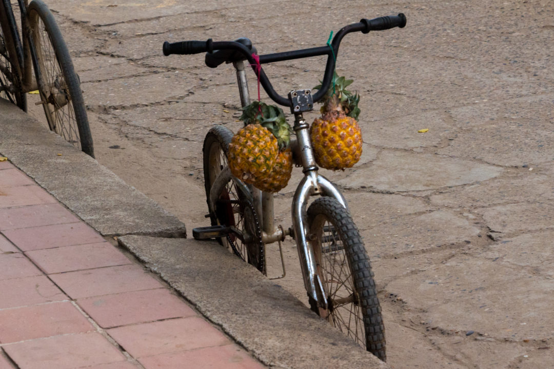 Mompox - Vélo aux ananas
