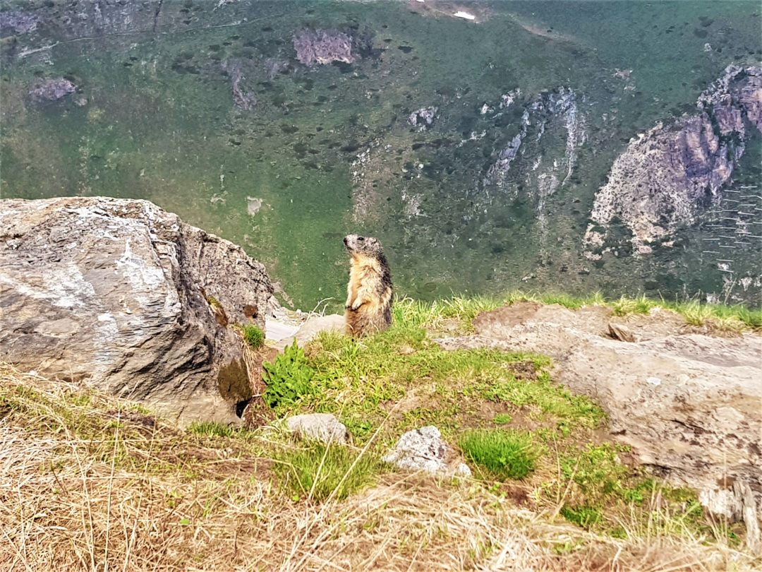 Col de l'Iseran - Marmotte