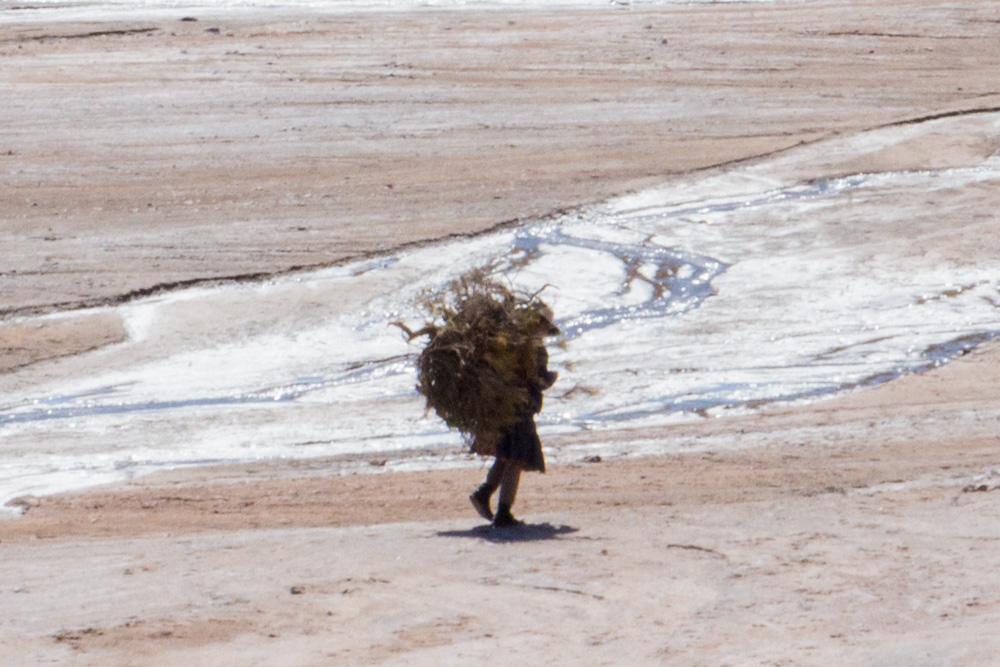 Une dame qui porte du bois sur son dos, quelque part dans le sud de la Bolivie
