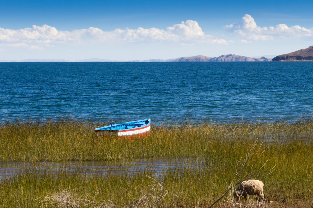 Une barque, au bord du lac Titicaca