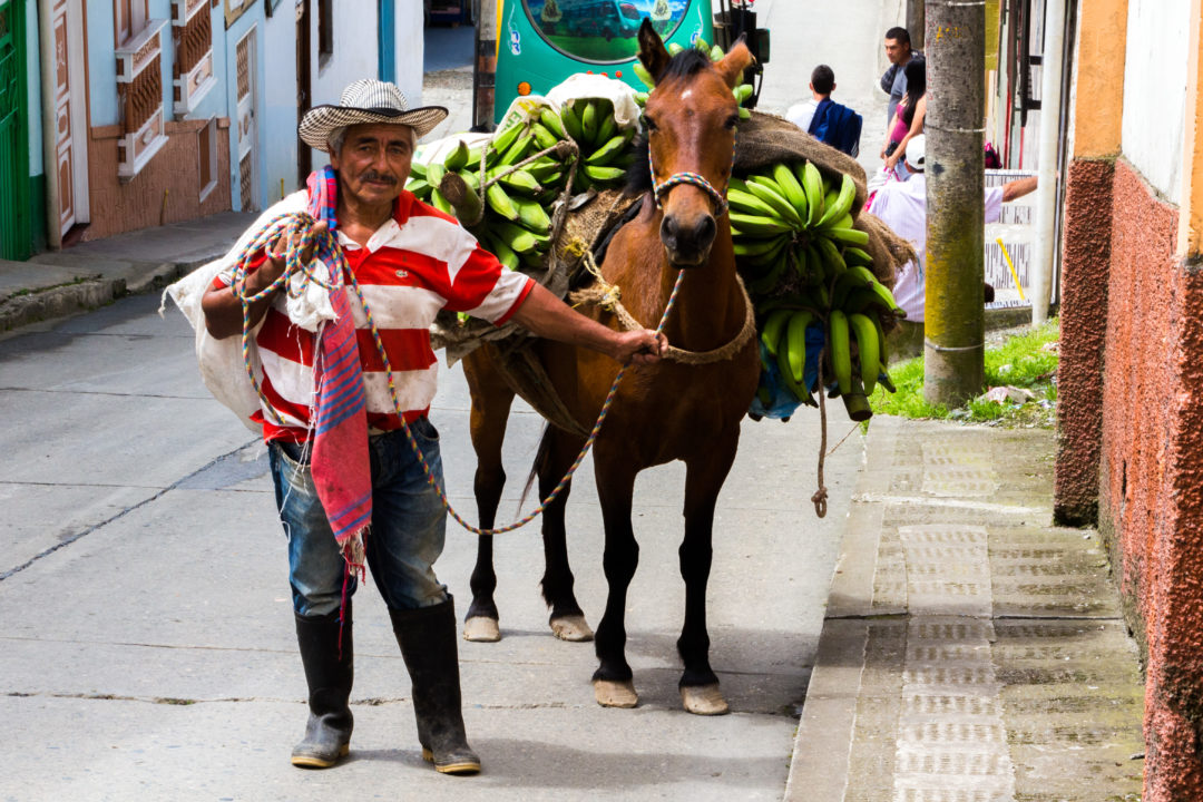 El Eje Cafetero - Un Colombien et son cheval